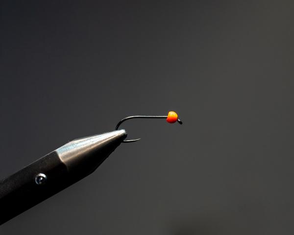 FOSAF_4886.jpg