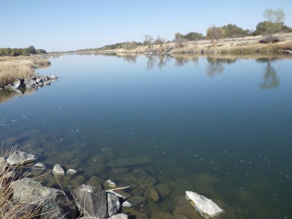FOSAF_7335.jpg