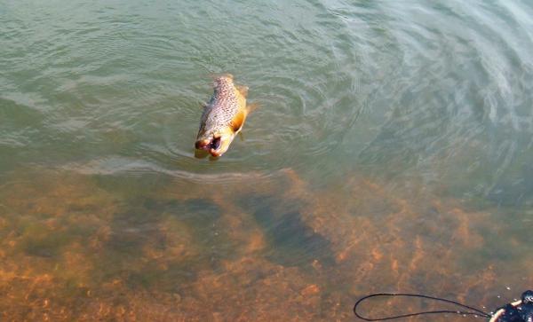 FOSAF_2140.jpg FOSAF_2140.jpg