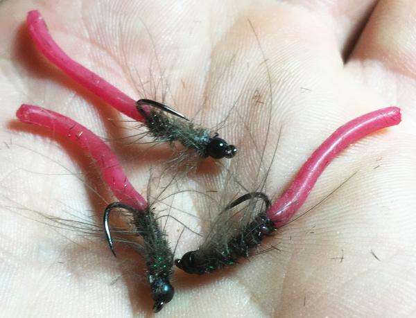 FOSAF_2322.jpg FOSAF_2322.jpg