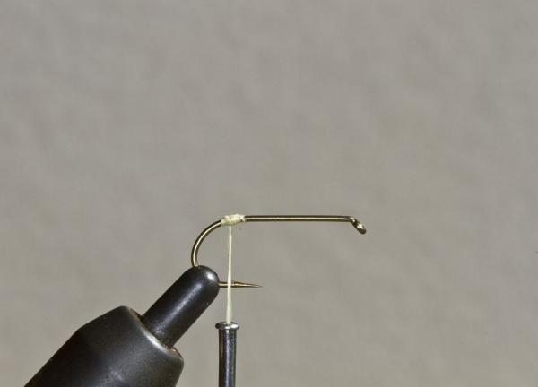 FOSAF_2620.jpg FOSAF_2620.jpg