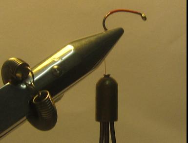 FOSAF_2649.jpg
