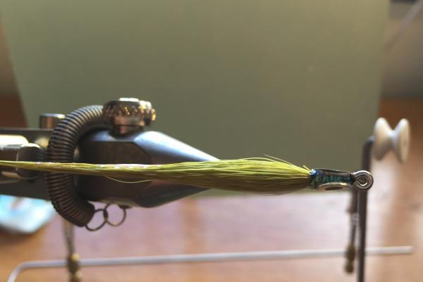 FOSAF_2756.jpg