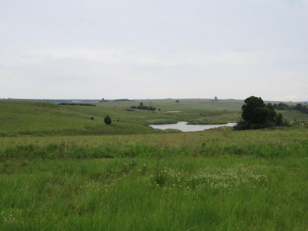FOSAF_2861.jpg