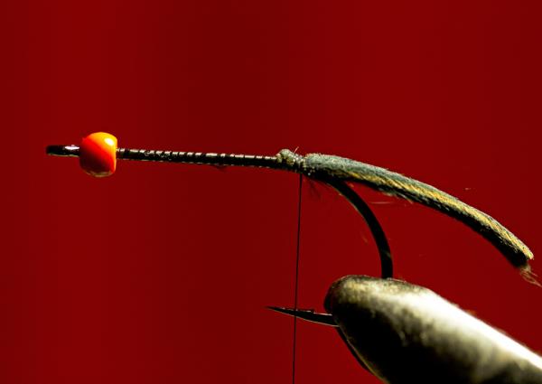 FOSAF_2912.jpg FOSAF_2912.jpg