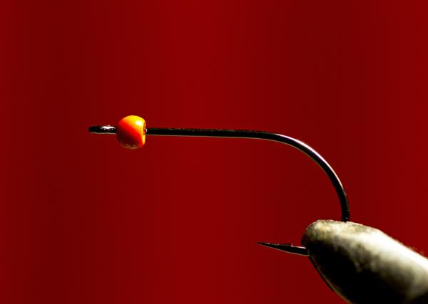 FOSAF_2913.jpg FOSAF_2913.jpg