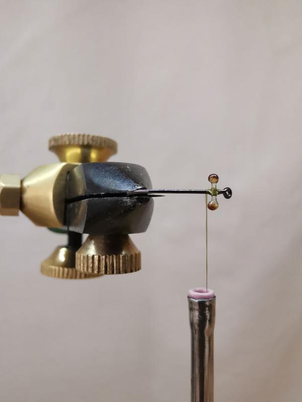 FOSAF_3008.jpg