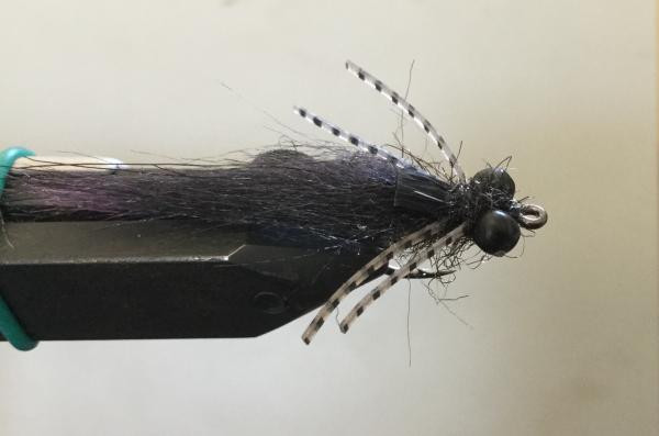 FOSAF_3192.jpg