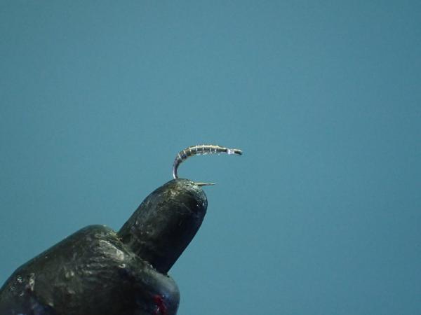FOSAF_3452.jpg FOSAF_3452.jpg