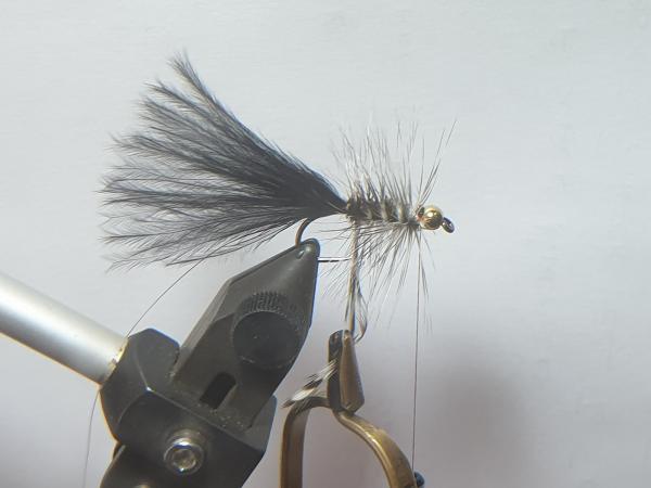 FOSAF_3586.jpg