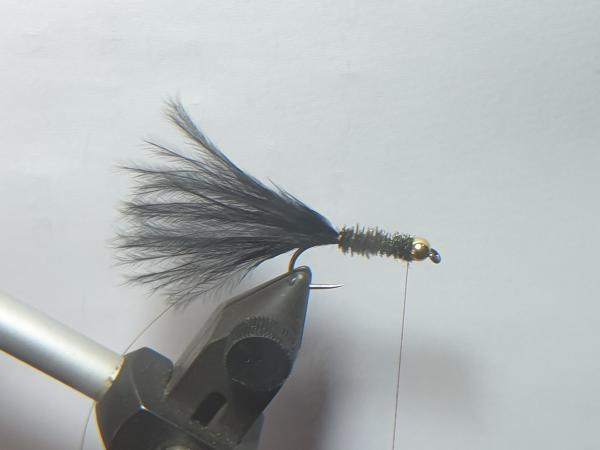 FOSAF_3588.jpg