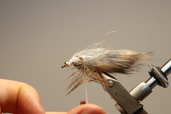 FOSAF_3693.jpg