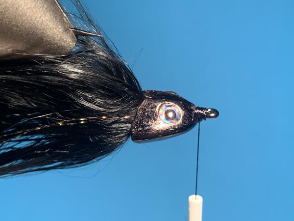 FOSAF_3785.jpg FOSAF_3785.jpg