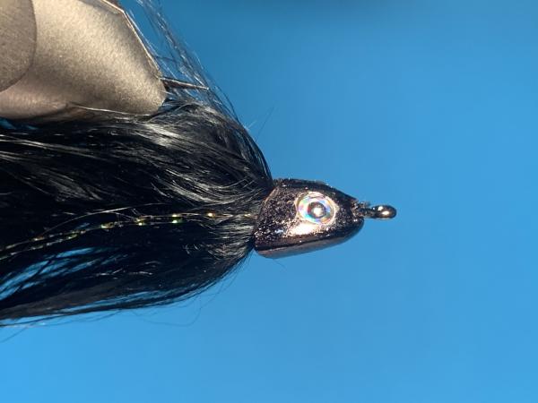 FOSAF_3786.jpg FOSAF_3786.jpg