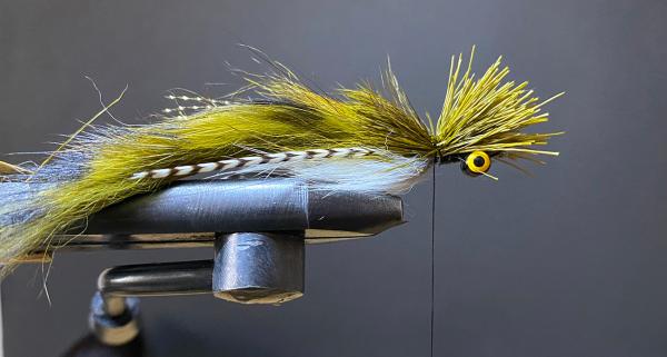 FOSAF_3913.jpg FOSAF_3913.jpg