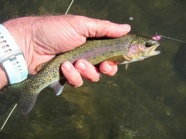 FOSAF_3993.jpg FOSAF_3993.jpg