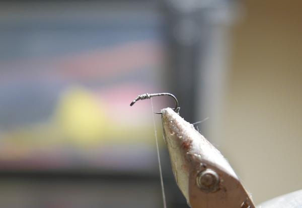 FOSAF_4434.jpg FOSAF_4434.jpg