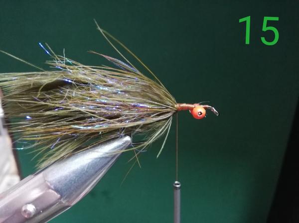 FOSAF_4526.jpg FOSAF_4526.jpg