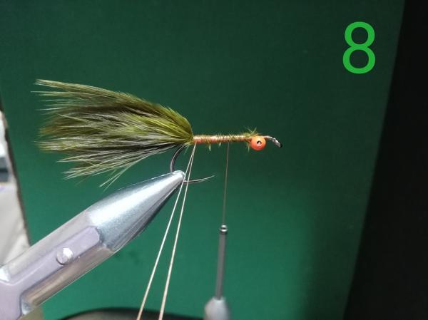 FOSAF_4533.jpg FOSAF_4533.jpg