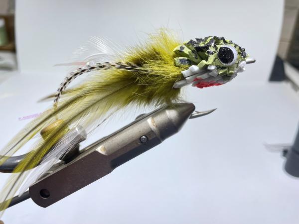 FOSAF_4669.jpg FOSAF_4669.jpg