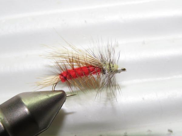 FOSAF_4759.jpg FOSAF_4759.jpg