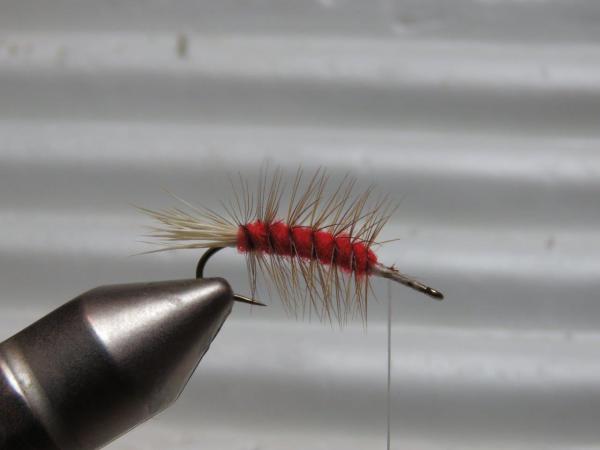 FOSAF_4763.jpg FOSAF_4763.jpg