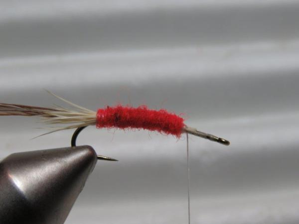 FOSAF_4765.jpg FOSAF_4765.jpg