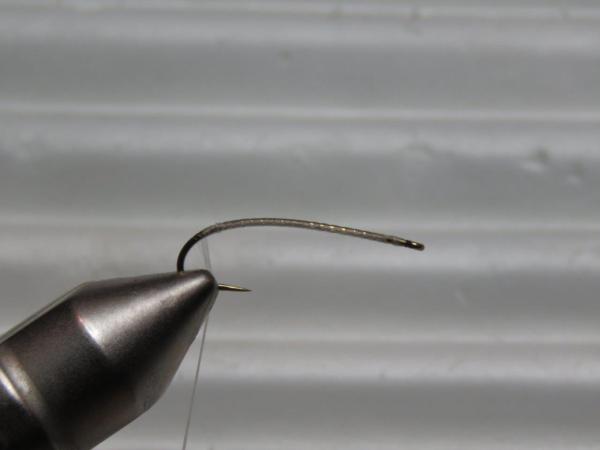 FOSAF_4767.jpg FOSAF_4767.jpg