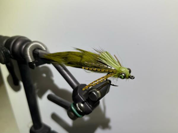 FOSAF_5092.jpg FOSAF_5092.jpg