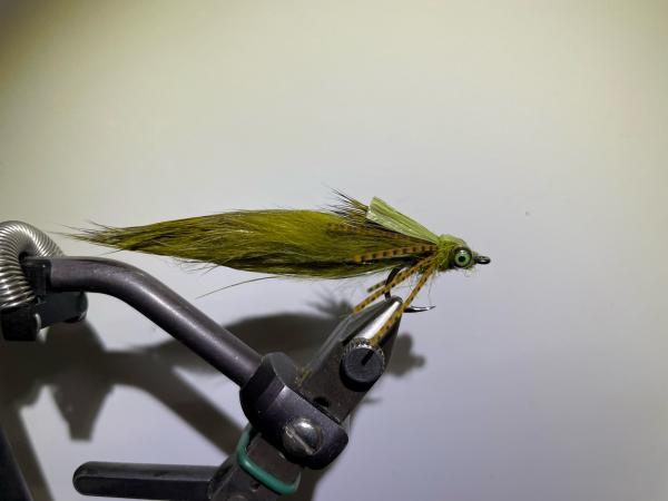 FOSAF_5093.jpg FOSAF_5093.jpg