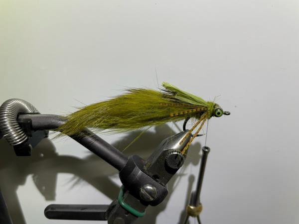 FOSAF_5094.jpg FOSAF_5094.jpg