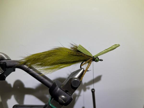 FOSAF_5095.jpg FOSAF_5095.jpg