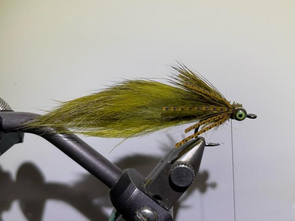 FOSAF_5096.jpg FOSAF_5096.jpg