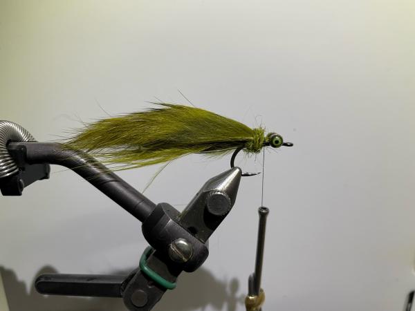 FOSAF_5098.jpg FOSAF_5098.jpg
