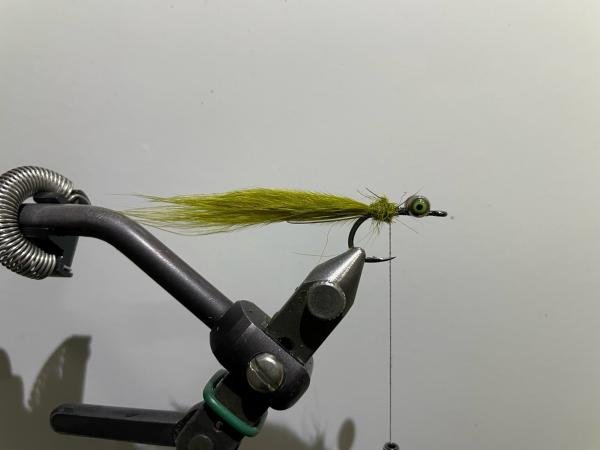 FOSAF_5100.jpg FOSAF_5100.jpg