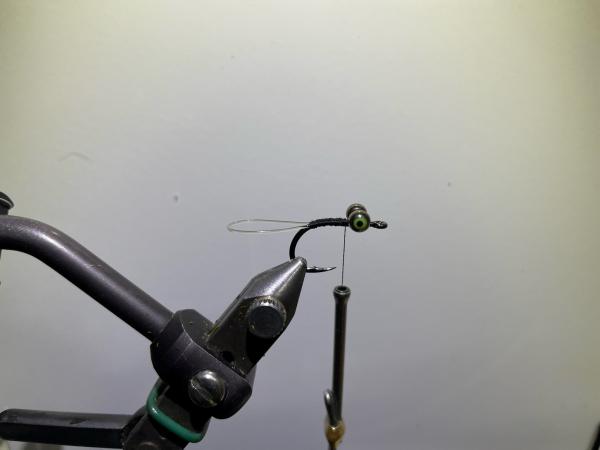 FOSAF_5101.jpg FOSAF_5101.jpg