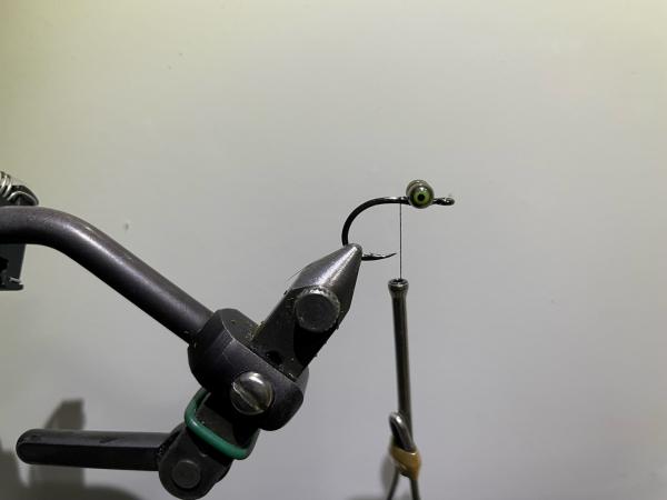 FOSAF_5102.jpg FOSAF_5102.jpg