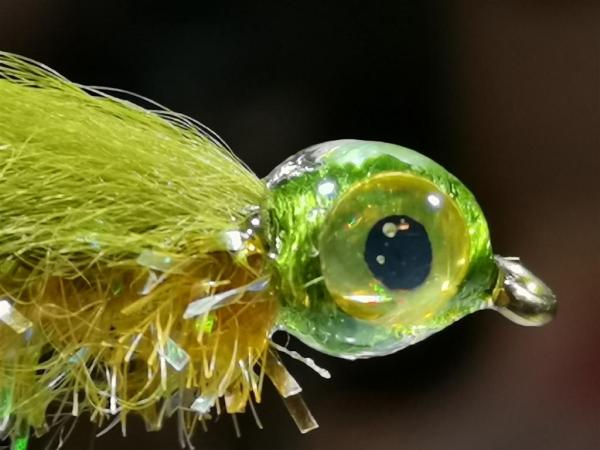 FOSAF_5142.jpg FOSAF_5142.jpg