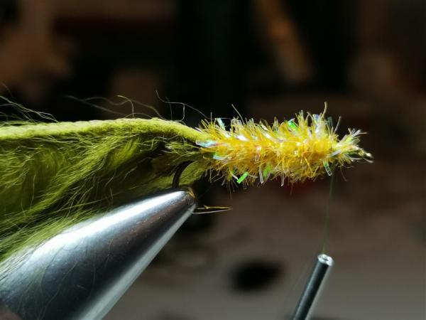 FOSAF_5152.jpg FOSAF_5152.jpg