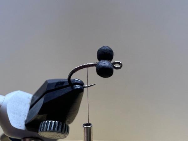 FOSAF_5446.jpg