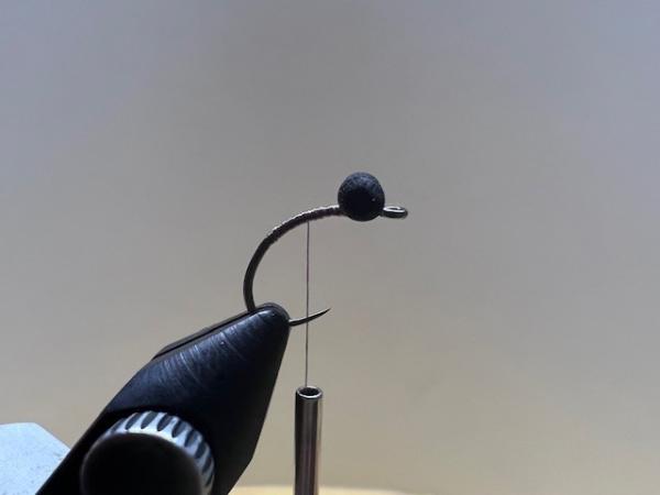 FOSAF_5447.jpg