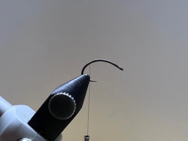 FOSAF_5448.jpg
