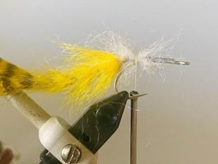 FOSAF_5779.jpg FOSAF_5779.jpg