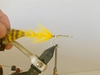 FOSAF_5780.jpg FOSAF_5780.jpg