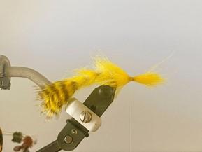 FOSAF_5784.jpg FOSAF_5784.jpg