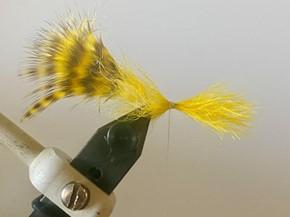 FOSAF_5786.jpg FOSAF_5786.jpg