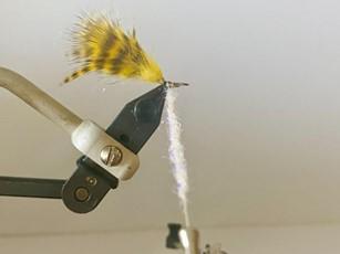 FOSAF_5788.jpg FOSAF_5788.jpg