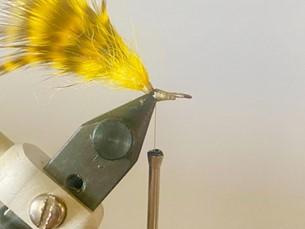 FOSAF_5789.jpg FOSAF_5789.jpg