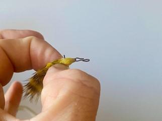FOSAF_5790.jpg FOSAF_5790.jpg