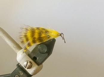 FOSAF_5791.jpg FOSAF_5791.jpg